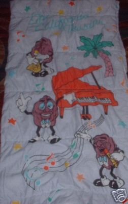 sleeping bag